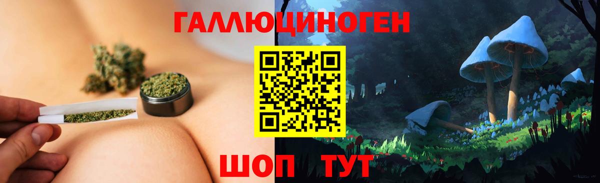 Псилоцибиновые грибы прущие грибы  Вход с VPN  Десногорск 